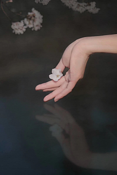 绒布小兔儿采集到古风摄影❀