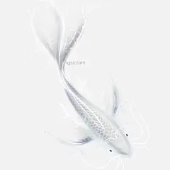 手绘一条鱼插画设计元素图片大小2000x2000px 图片尺寸2.43 MB 来自PNG搜索网 pngss.com 免费免扣png素材下载！插画#海鲜#海洋生物#手绘#一条鱼#鱼#装饰图案#