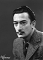 Salvador Dali, 1936