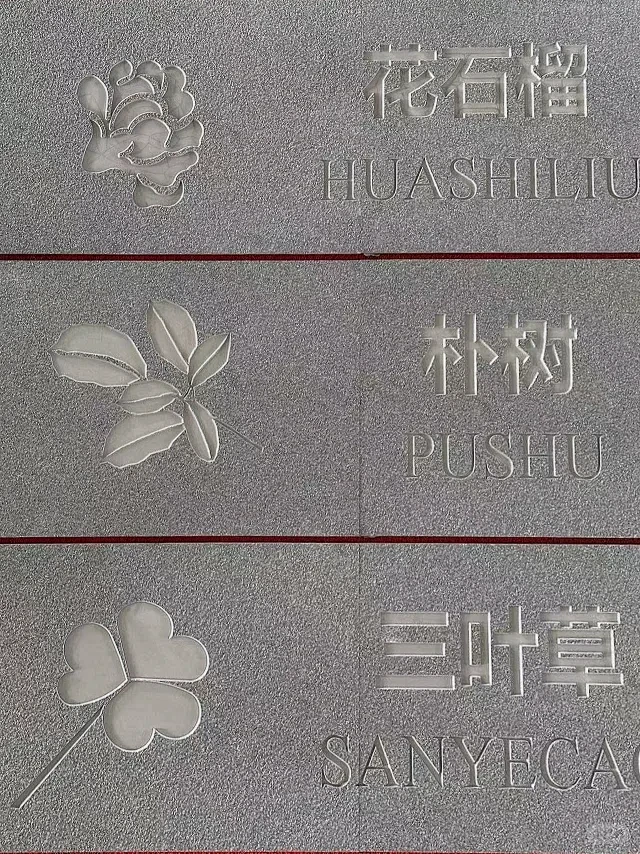 地面划线图案 - 小红书搜索-花瓣网