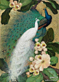 傲娇的孔雀——来自美国画家Jessie Arms Botke（1883-1971），喜欢画鸟类，特别是孔雀，风格很有东方工笔画的味道~(转)