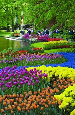 Beautiful Gardens: 