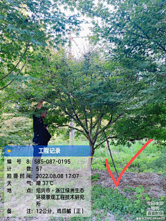西瓜瓜123采集到植物选型