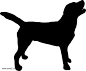 拉布拉多猎犬PNG图片png免抠元素动物元素背景装饰免扣图片