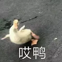 有哪些万能的表情包推荐？ - 知乎