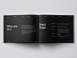 The Professional Style Guide Kit | InDesign Format - 设计模版 - 美工云 - 上美工云，下一种工作！