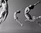 【绘画参考】Lois Greenfield 的舞蹈艺术摄影（舞姿参考）