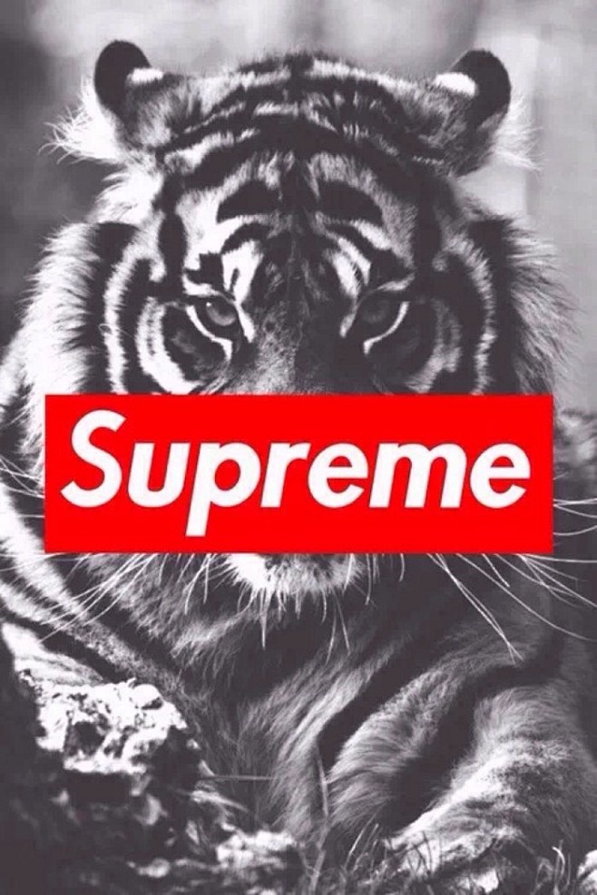 欧美风壁纸潮流supreme