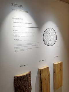 TsWUXIE采集到家居类素材