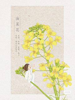 广藤采集到节气节日
