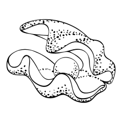 Cheer淳采集到Hand painted/PNG