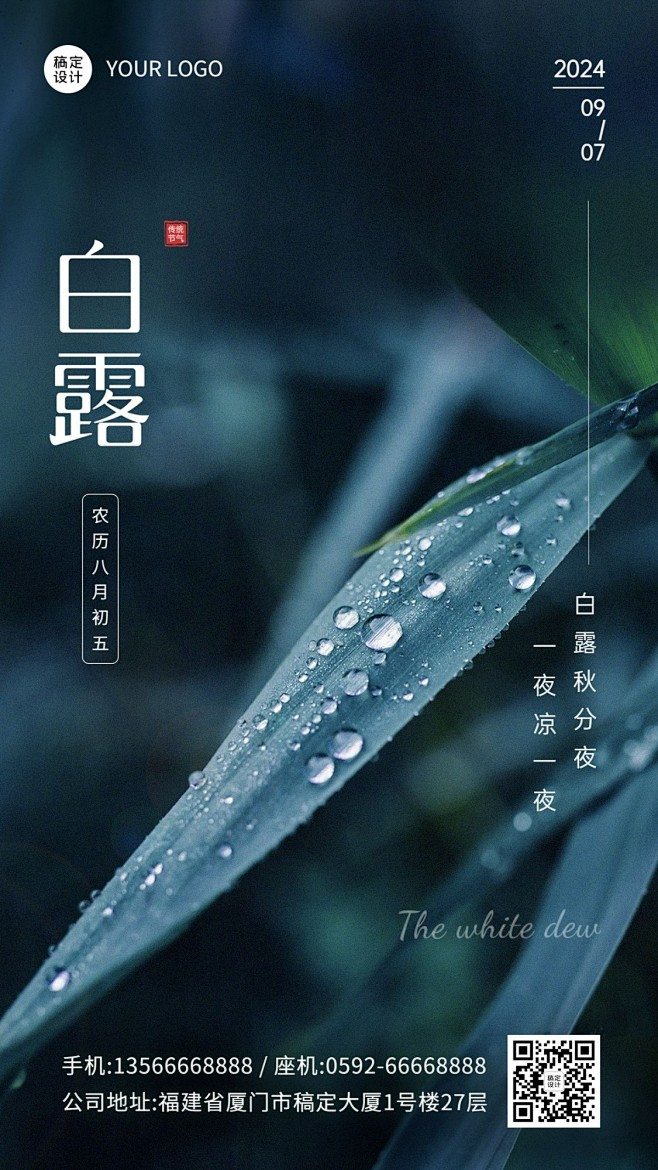 白露节气祝福企业节气问候实景排版手机海报