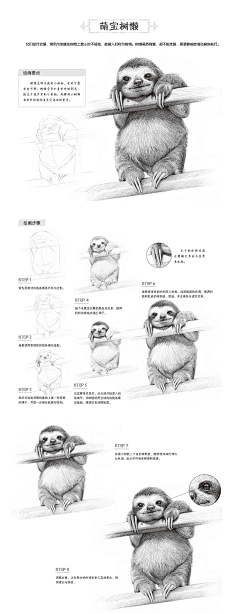 ☆纯净水☆㊣采集到绘画教程