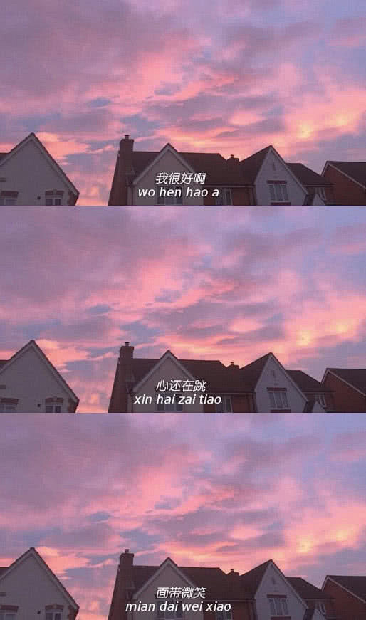 棠媱采集/三公格