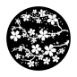 Blossoms In Bloom