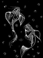artwork black paper dessin Drawing  fish japan KOI FISH Nature water white ink