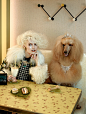 Alta Societa - Glamour Italia : Dogs