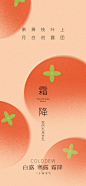 二十四节气 冬至 立冬 大寒 小寒  霜降 - 源文件