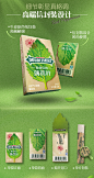 绿箭新品 绿箭薄荷真叶口香糖6片装x8包礼盒 含天然薄荷叶口香糖-tmall.com天猫