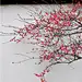 【古风摄影】揽风听雨_唯美图吧_百度贴吧
