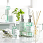 Williams-Sonoma Essential Oils Collection, Rosemary Mint