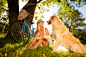 公园,人,休闲装,生活方式,户外_143177716_Woman With Her Pet Dog Sitting On Grass_创意图片_Getty Images China