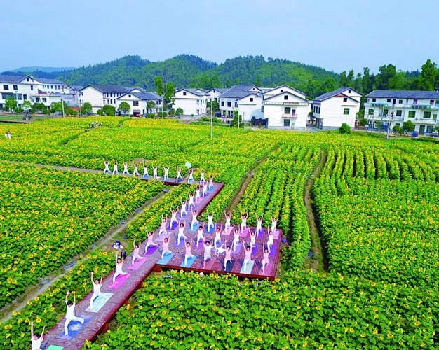 人居环境整治_百度图片搜索