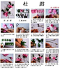 Pinterest / Search results for 折纸