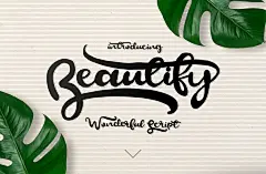 优雅手写体英文产品包装广告海报封面设计社交媒体字体素材 Beautify Script