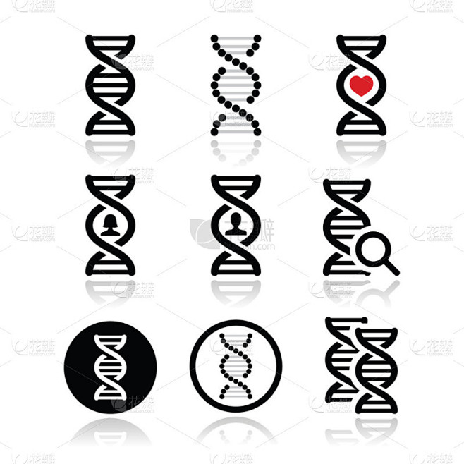 dna，遗传学矢量图标集