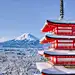 日本滑雪一日游✈️解封第一件事完成梦想清