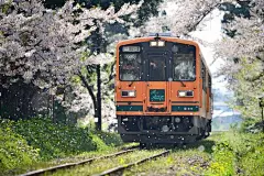 #电脑壁纸##风景壁纸##日本樱花季# 是不是看上去超治愈，安静的不想被打扰。宝宝们记得右下角已阅支持一下，谢谢~ ​​​​