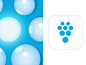 Lighting Solutions Logo and App Icon