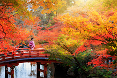 咸菜子采集到节日