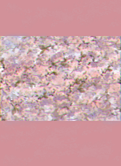 0VYuaIKD采集到背景素材