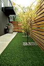 Contemporary landscape and backyard space