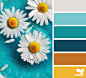 daisy palette