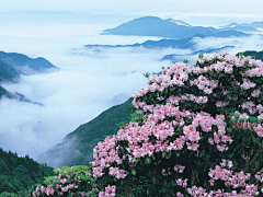 不爱深蓝爱浅蓝采集到天台山