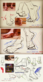 drawing feet