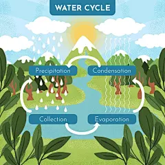 (源站可下源文件)手绘水循环/Hand drawn water cycle