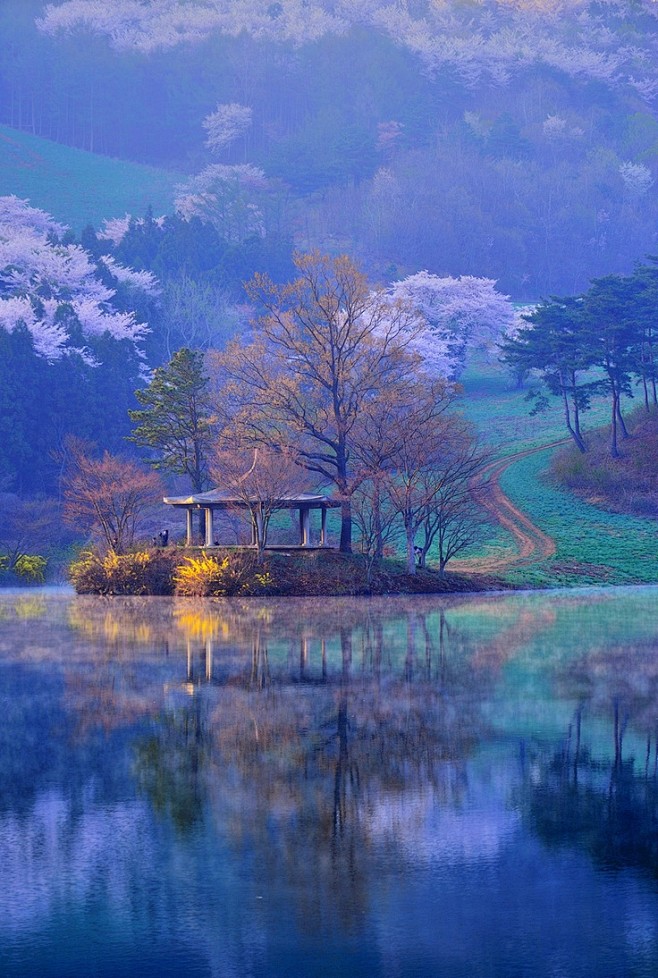 Spring, South Korea