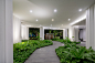 Life One Wireless | Condominium | Work | Landscape Tectonix