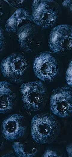 高清手机壁纸-杂图系列第一百三十期｜浮云岂是尘中物，又逐秋风天外-今日头条