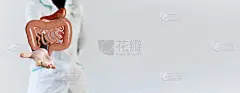 医生的手与3D渲染肠胃。微生物组概念，健康肠道细菌