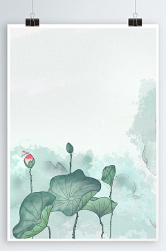 寵兒🎀🎀～采集到荷花