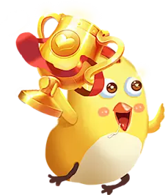 小鸡