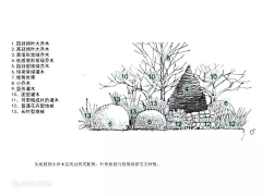 多古_Toku采集到花境