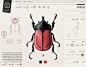 Insect Definer : Interactive insect field guide-Content application for ipad, which allows digital text reading - a transformation from the printed content to digital media. The app will allow exploring and experiencing the world of insects in a new inter