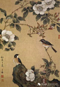 陈之佛工笔花鸟画（一）