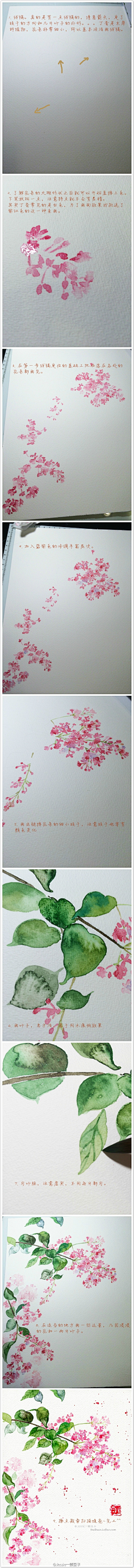 Victoria－YN采集到水彩绘画教程
